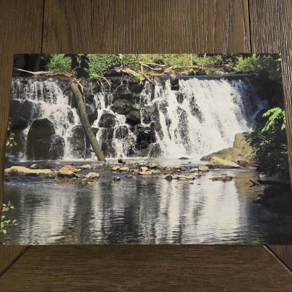 Beautiful Bronx Zoo Waterfall Picture - Brand New